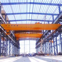 WEIHUA FEM/DIN Double Girder Overhead Crane